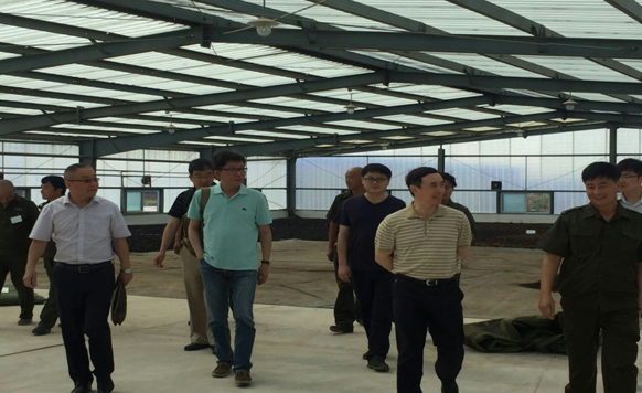谭星辉董事长一行5人在牟昱总经理陪同下 赴巴楚甘草公司调研