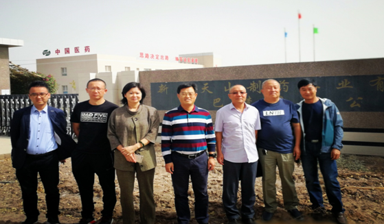 公司党委书记侯文玲一行赴新疆巴楚分公司调研