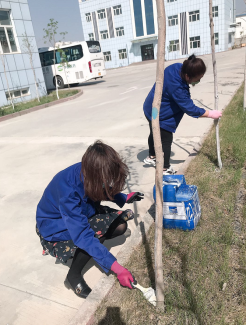 天山制药的最美植绿人