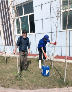 天山制药的最美植绿人